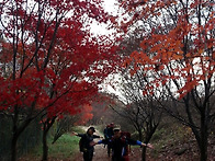 삼성산산행