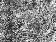 탄소순환농법 자료