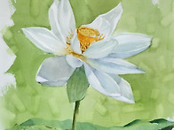 최병화수채화(연꽃)