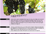 선교사 후원하는 ..