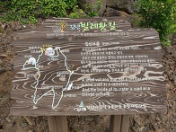 (5월24일)삿갓오름(입산봉..