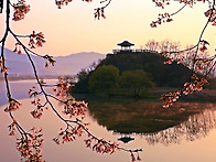 상춘정의 봄