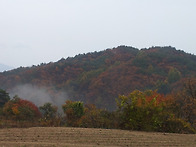 가을 단풍으로 물든 산