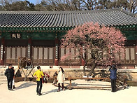 2017년 고매 탐방