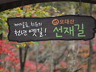 오대산선재길(161016)=..