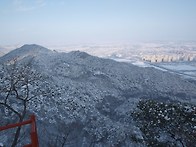 용봉산