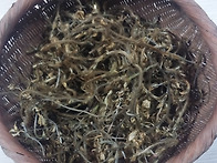 건조 칡순 판매합..