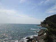 保寧 竹島 봄 소풍에 붙이는 글