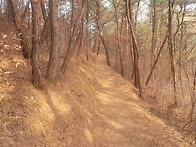 광제산산책(2015.03.30..