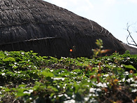 10월20일출사-10장사진과제..