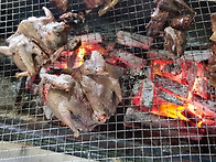 산비둘기와 만난날