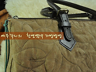 천연염색 나뭇잎 ..