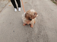 1118 일산이 사진 드려요~