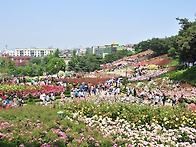 5.29일축제장에서