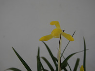 2017년 청주 연합전시회...