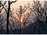 빙화(氷花)가 필것 같아서..