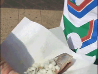 헐 이 새리가.....