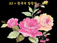 A3 = 뜸북새 합창단 - ..