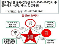 2017년산 친환경 항산화 오미자 엑기스 판..