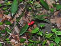 2018년 제주도 원..