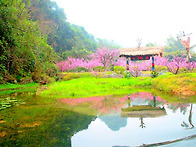 중국계림 여행사진 일기 ..