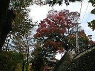 내장산 서래봉