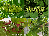 우리는 이렇게 놀..