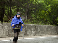 남원 봉화산 (2018. 5...