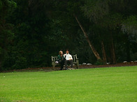 헌팅턴 가든. 연인들을 위한 공간