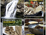 [영월맛집여행] 먹는 것도..