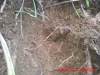 Re:5월 1일 술번..