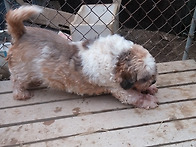 일산이 사진 공유 드려요 ..