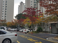 가을이 오는 아파트