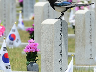 제62회 현충일