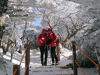 한라산 및 제주관광 안내1..