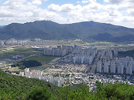인사