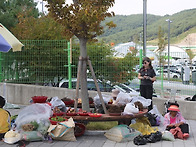 하동 북천 여행 (2019...