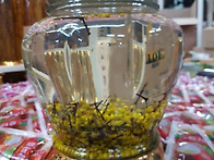 꼬리와 노봉방주^^