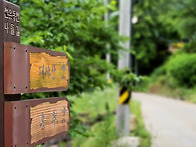 20년 6월 14일 대야산 산행 사진!