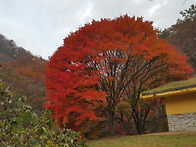 장성 백암산 산행