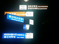 6월 26일 염포산 ..