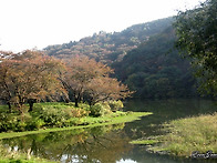 용인 산책길에서