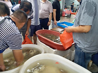 새우 꽃게 철이네요