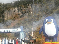 19회 서귀포국제펭귄수영대..