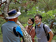 2020년 자충고 총동문 걷..