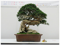 빛고을 명수전 행사후.....