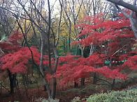 잣절공원