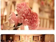 [논현동] 벨뷰티아라