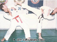 Adults Taekwondo C..