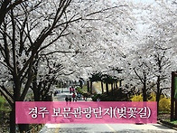 경북 봄 영상